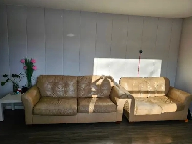 3BR House Near UofM to Rent