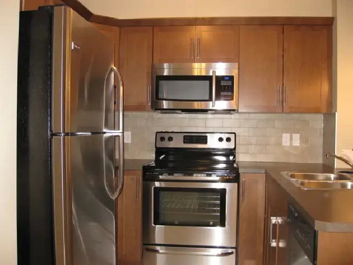 Cozy and Very nice One Bedroom Apartment for Rent