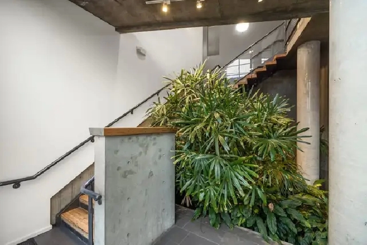 Downtown Victoria Studio for rent
