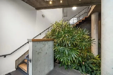 Downtown Victoria Studio for rent