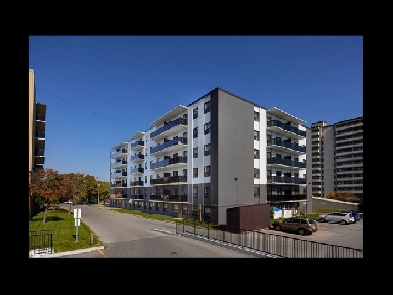 1bdrm Apartment for Rent - 45 Greenbrae Circuit