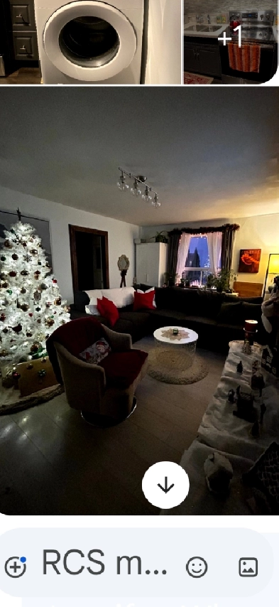 Aparment for Rent: Carlton & Parliament