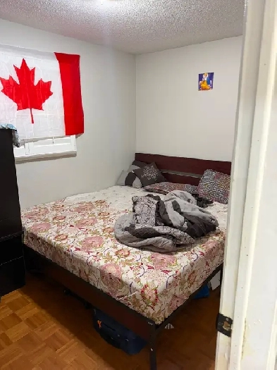 1 Bedroom basment from September 1