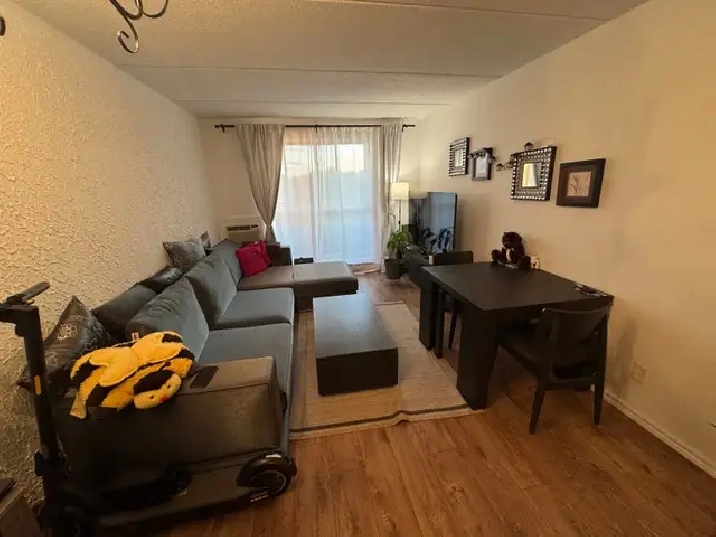1 bed 1 bath appartment for rent