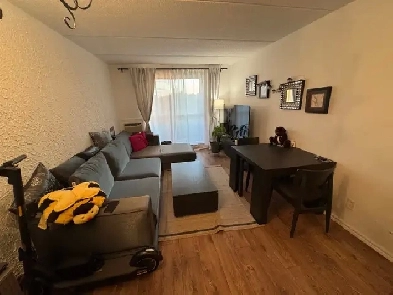 1 bed 1 bath appartment for rent