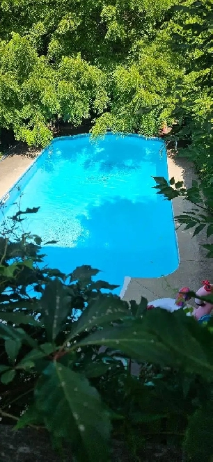 LARGE BEAUTIFUL FURNISHED ROOM AVAILABLE SEPT. 1 IN SOUTH BARRIE