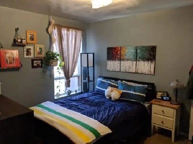 2nd/3rd Flr Rooms For Rent, 2 Baths, Dundas / Ossington