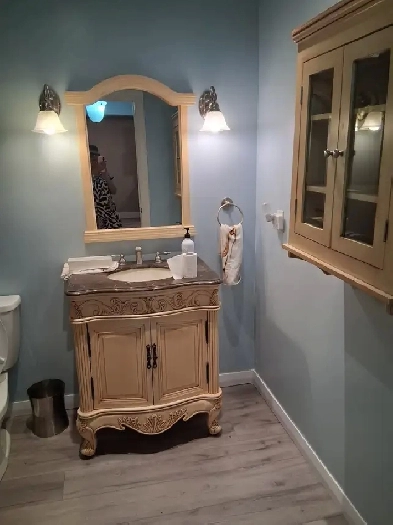 Newly Renovated 1-Bedroom Basement Apartment  – Blezard