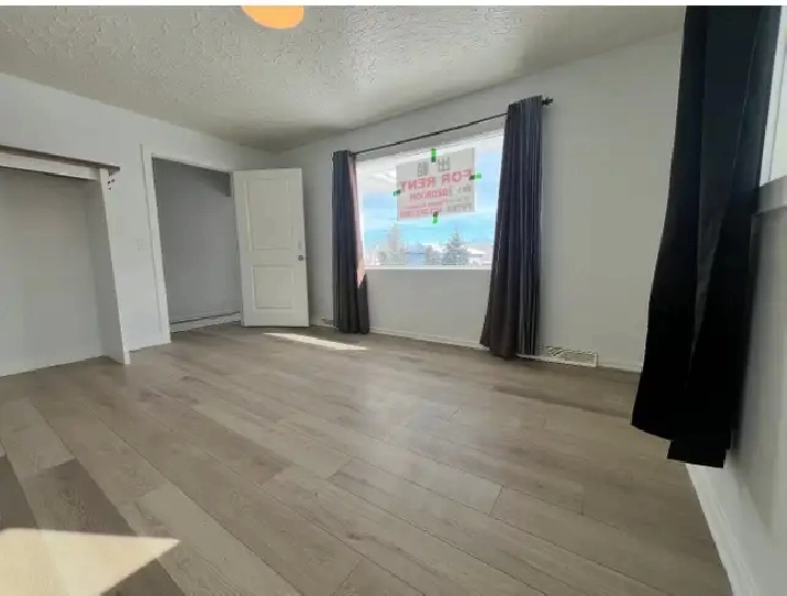 Main floor Room for rent at Center St