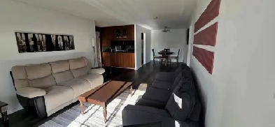Freshly Renovated Open-Concept 2-Bedroom Condo in Downtown Hull