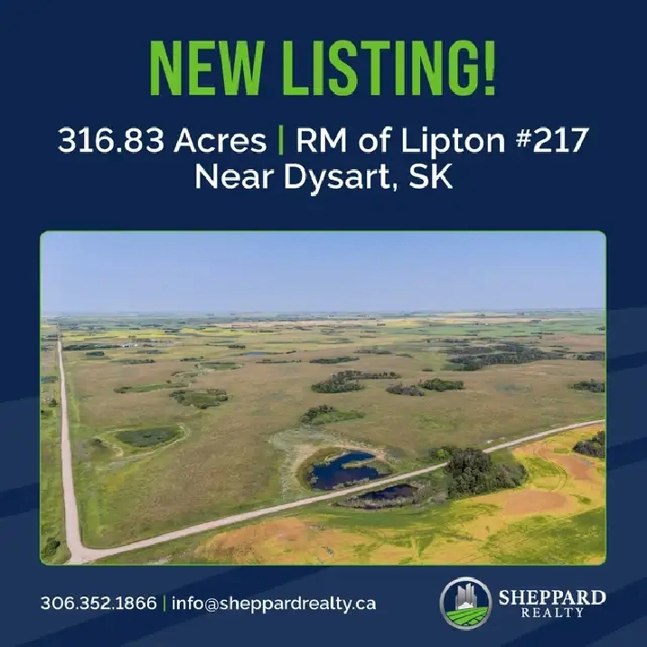 2 Quarters of Grain Land | RM of Lipton # 217 | Near Dysart, SK