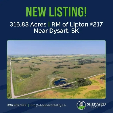 2 Quarters of Grain Land | RM of Lipton # 217 | Near Dysart, SK