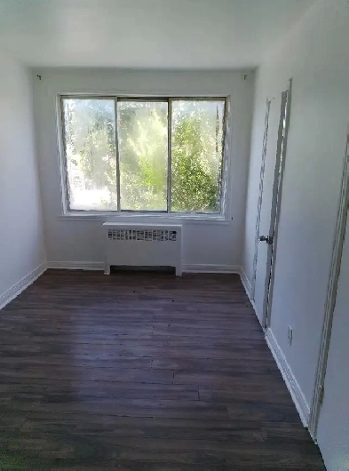 bachelor 1 1/2 apartment for rent