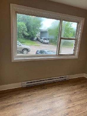 Down Town 1BD for rent $1000.00
