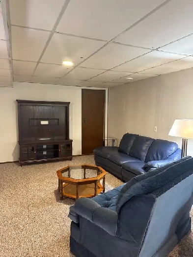 Basement suite on Farm near Leduc