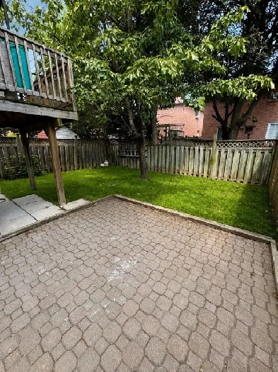 1 Bedroom Basement Apartment for Rent – Ajax