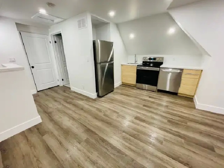 Modern 1 Bedroom Suite (Hamilton, Stipley)