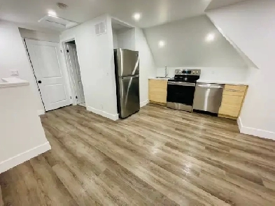 Modern 1 Bedroom Suite (Hamilton, Stipley)