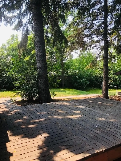 3-Bedroom House in Varsity– Near U of C, LRT & Market mall