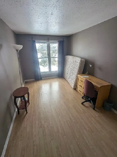 4 min to Algonquin. Woodroffe/Majestic, all inclusive. ASAP