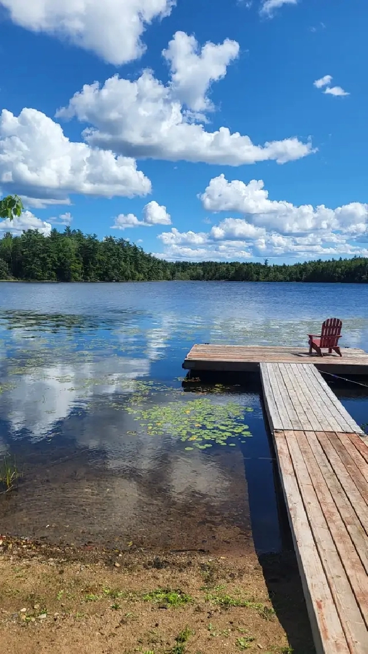 Lake Front