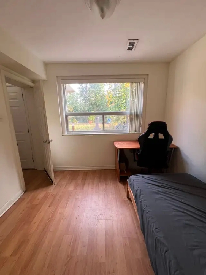 Room for rent near Finch station