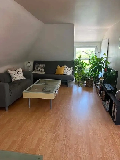 Bright One-Bedroom apartment for rent in Sandy Hill