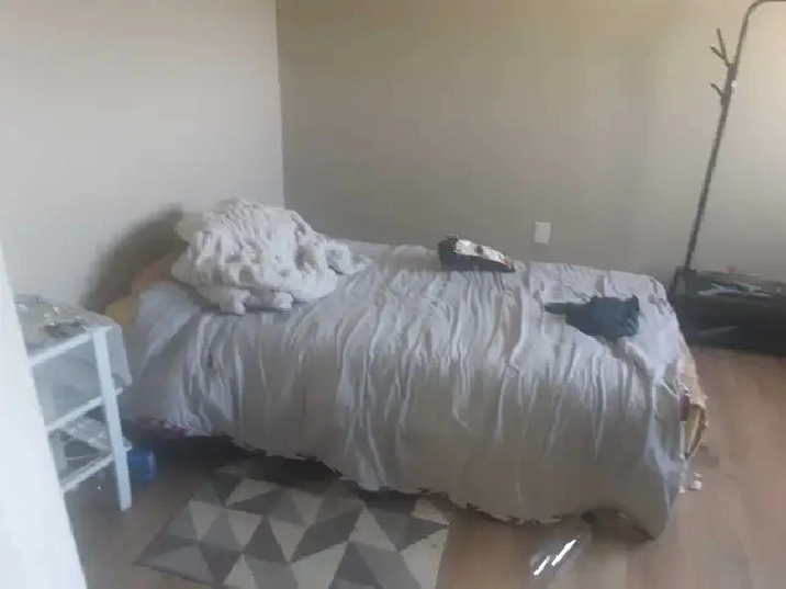 roommates wanted