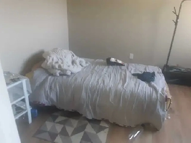 roommates wanted