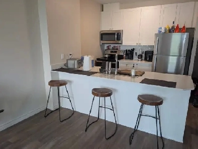 1 Bedroom   Den, 837 sqft, SE London, Heat & Water Included