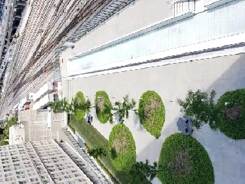 1 1 condo is at Yong & Front , available on Sep 1