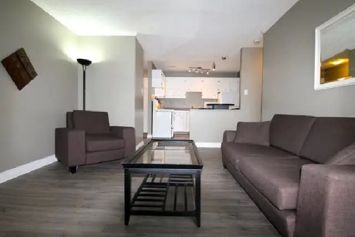 1 Bedroom Furnished Condo, IMMEDIATE - River Heights Great Loc