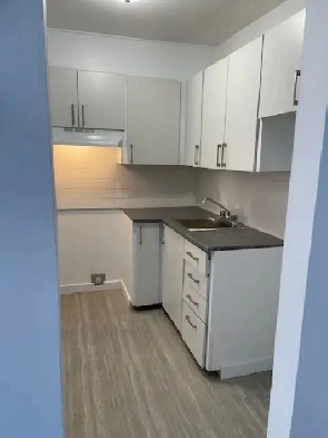 Brossard beau 41/2 rénové libre maintenant ou 1er Septembre