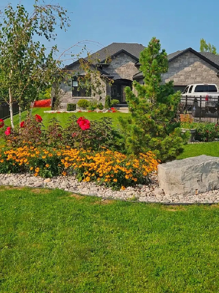 Basement suite with shared access for rent