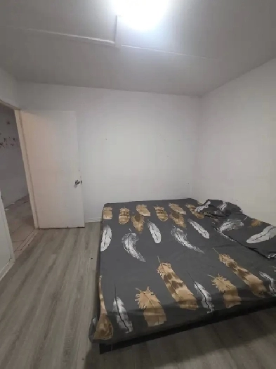 Room for Rent