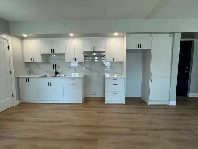 New 2 bedroom 2 bathroom Available Sep & Oct in Minnow Lake
