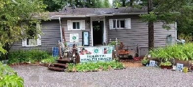 House with Health Center for Rent