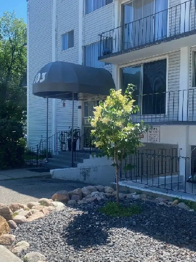 One bedroom apartment for rent