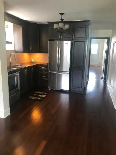 BEAUTIFUL ONE BEDROOM APARTMENT FOR A PROFESSIONAL