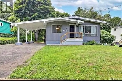 Looking for a roommate for September 1st