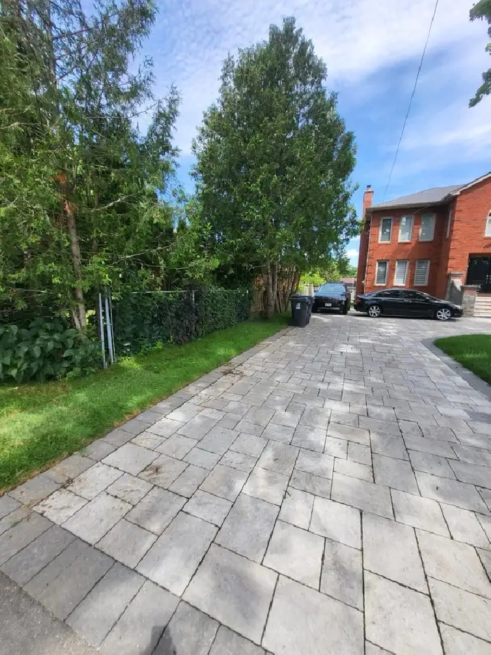 1 BR walkout basement apartment in Scarborough