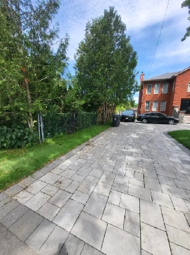 1 BR walkout basement apartment in Scarborough