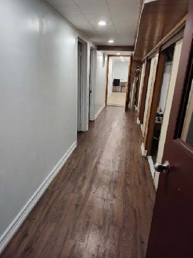 A nice two bedrooms basement Apt downtown Toronto all inclusive