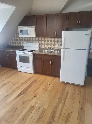 Amazing 3 bedroom loft apartment