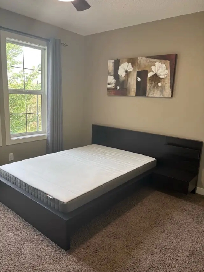 Rooms for rent in Mackenzie