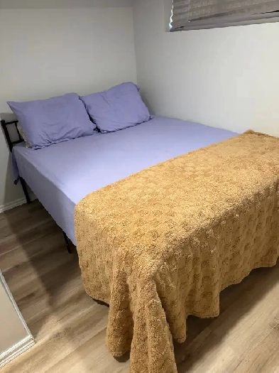 Private room and bathroom for rent