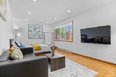 CLEAN/BRIGHT NEWLY RENOVATED 3 1/2 APARTMENT IN ANJOU