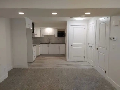 2 Bedroom basement suite in Savanna
