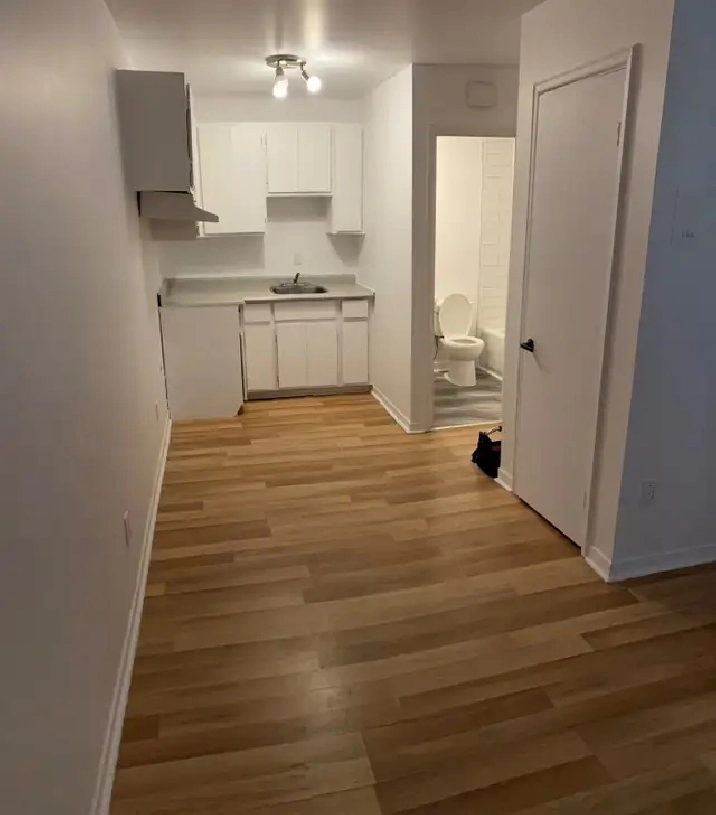 1ER SEPTEMBRE, 1 1/2 À 695$ À  CHARLESBOURG CHAUF/ÉCLAIRÉ, WIFI