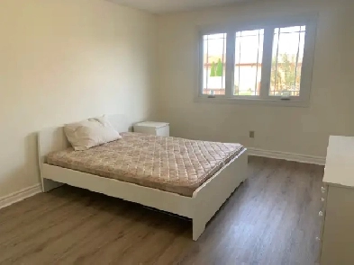 Room for Rent in House